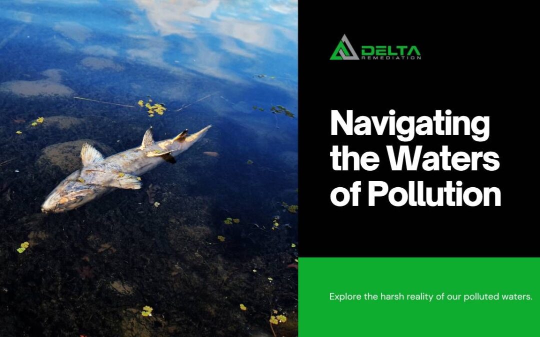 Understanding Water Pollution: The Challenge of Oil Remediation