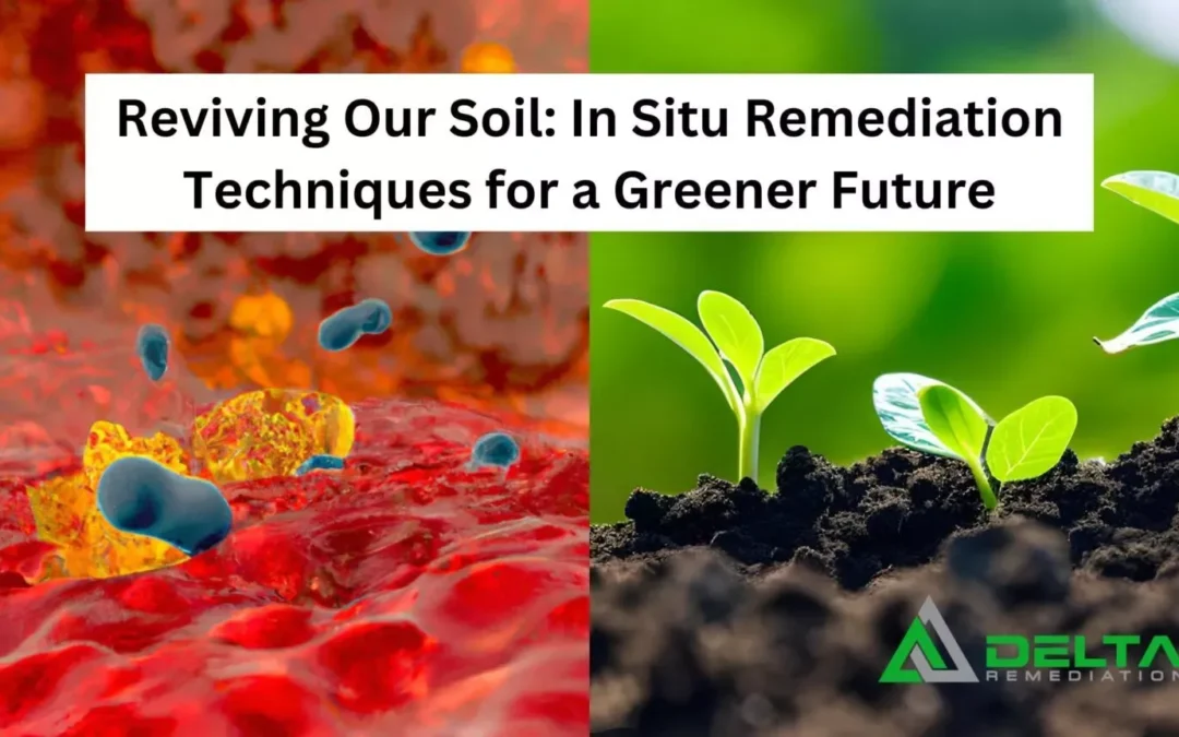 The Lasting Impact of Soil Remediation