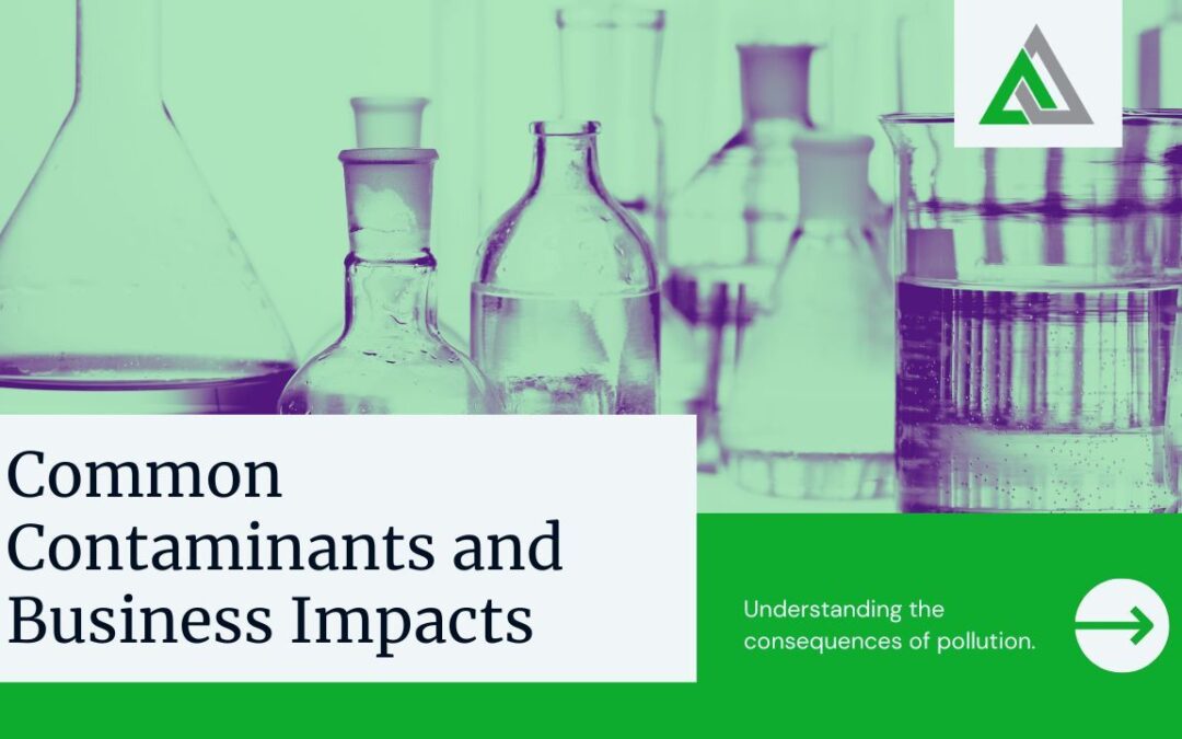Environmental Remediation Companies: 6 Common Business Environmental Impacts
