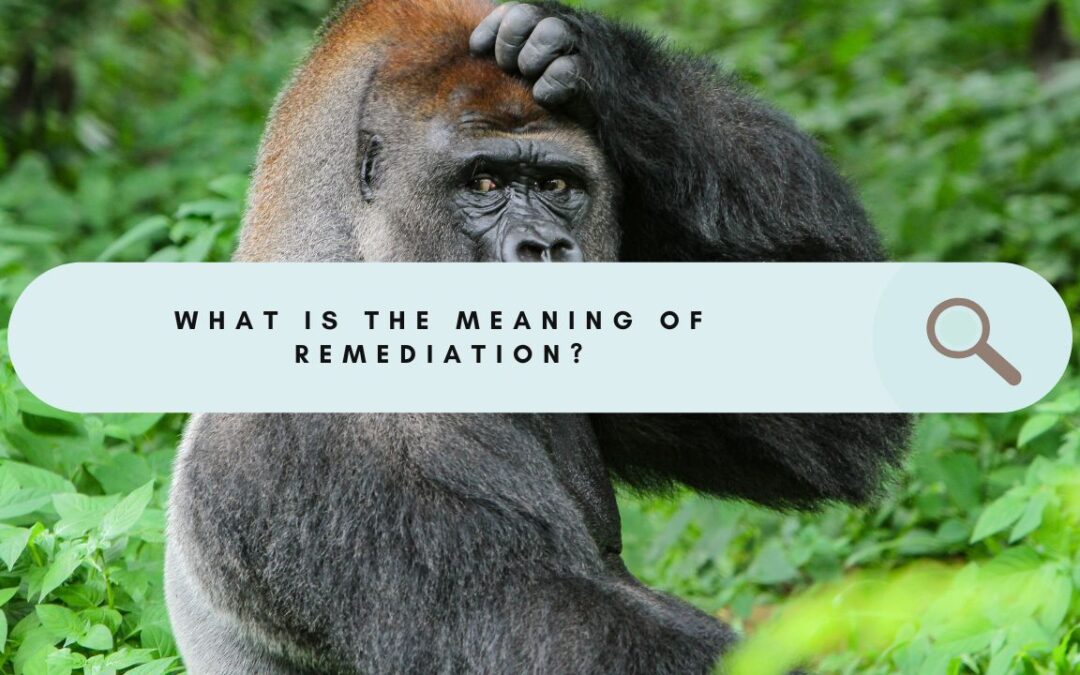 Remediation: Understanding the Word