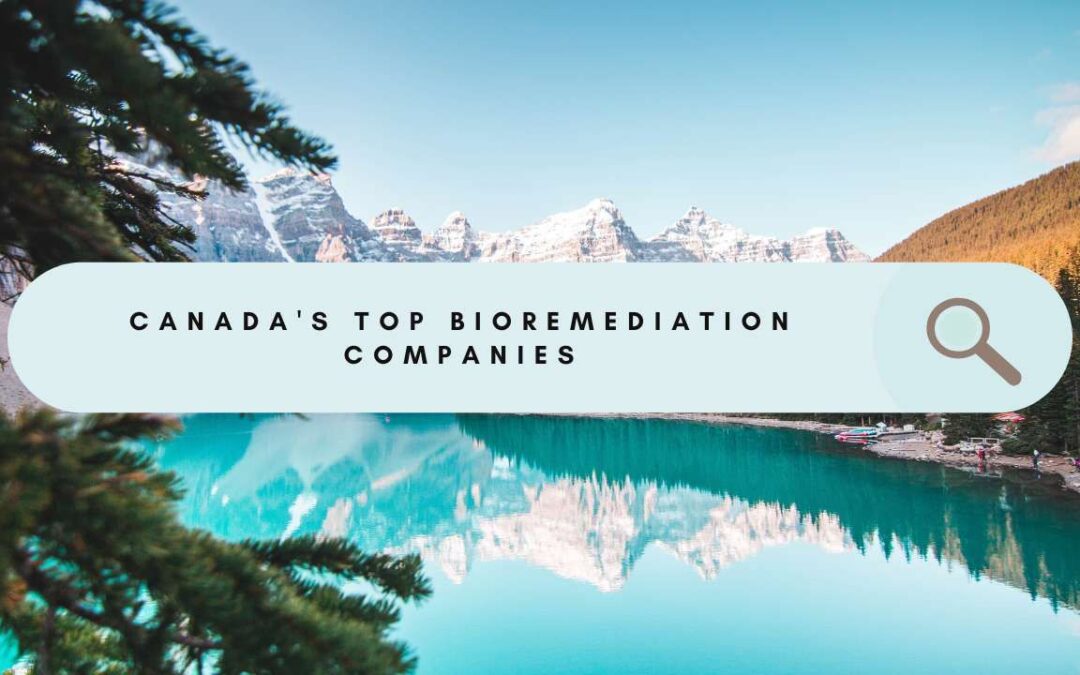 Top Bioremediation Companies In Canada: Leading the Way in Environmental Remediation