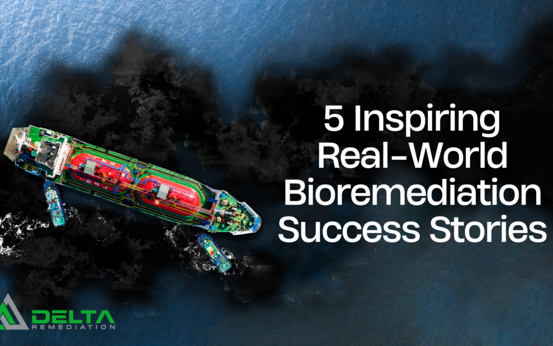 Unlocking Environmental Solutions: 5 Inspiring Real-World Bioremediation Success Stories