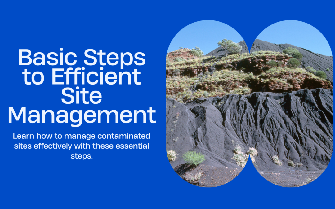 Effective Management of Contaminated Sites: A Step-by-Step Guide
