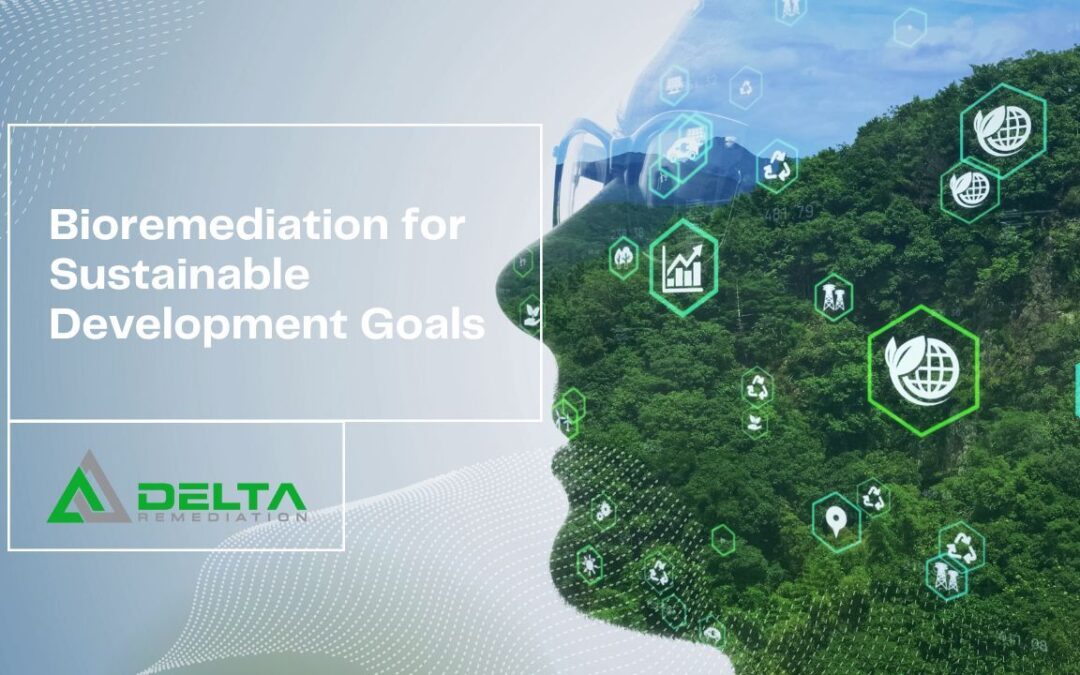 Bioremediation for Sustainable Development Goals