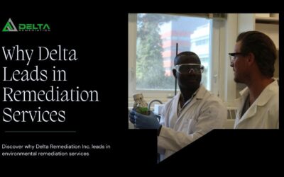 The Delta Difference: Why Delta Remediation Leads in Remediation Services